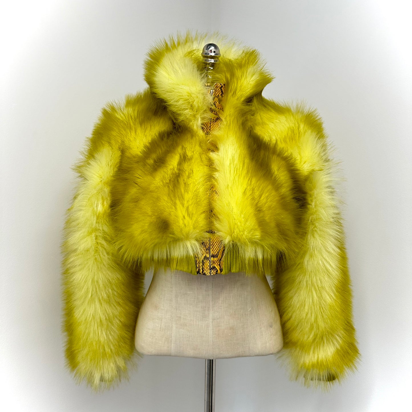 spicy jacket yellow